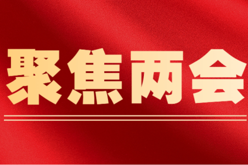 全国人大代表李寅建议（三）丨尽快解决可再生能源电价附加补贴拖欠问题的建议